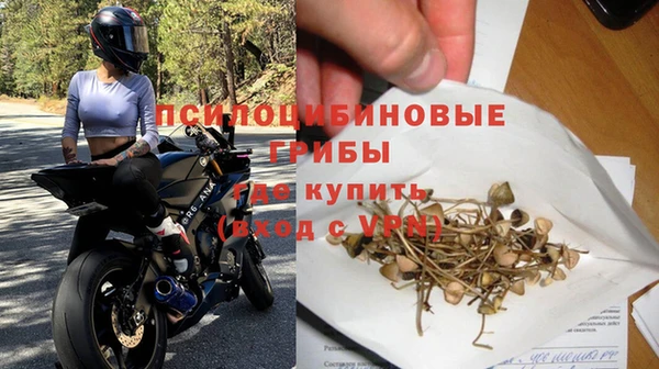 бошки Абаза