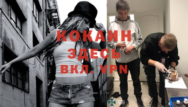стафф Абинск